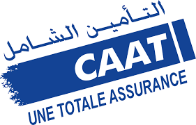 CAAT Assurance